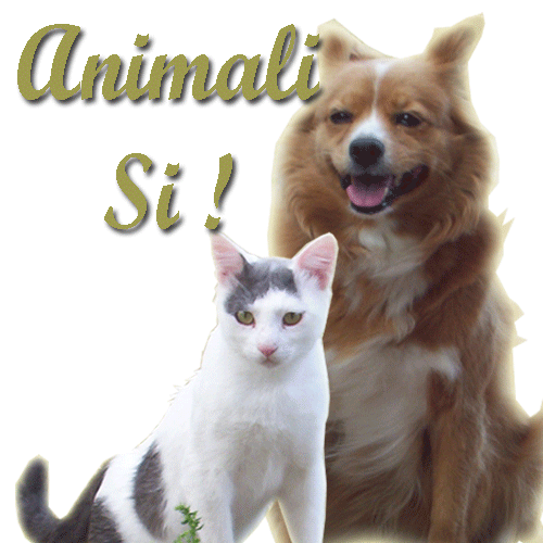 animali si